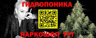 дмт Камышлов