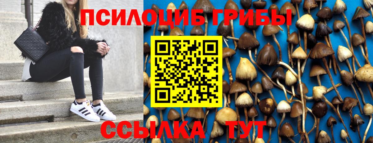 Галлюциногенные грибы ЛСД  Вход с VPN  Барабинск  Псилоцибиновые грибы Magic Shrooms 